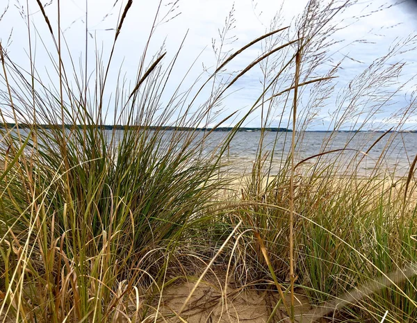View Lake Shore Green Grass — Fotografia de Stock