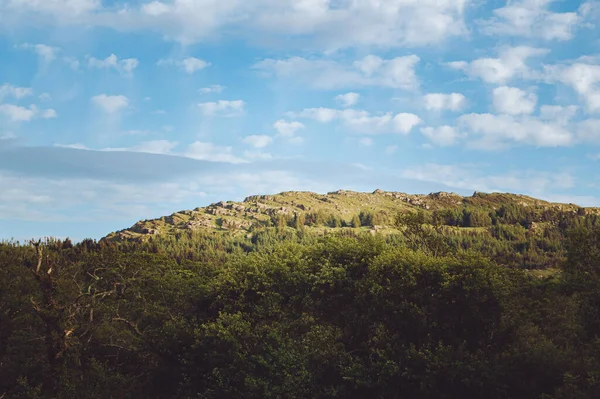 Top Hill Greenery Morning — Fotografia de Stock