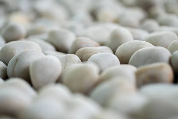 Beautiful Selective Focus Shot Different Decorative White Sea Stones — стоковое фото