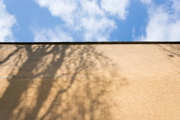 Vertical Shot Tree Shadow Concrete Wall Cloudy Sky — Fotografia de Stock