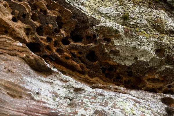 Weathered Rock Formation Holes — 图库照片