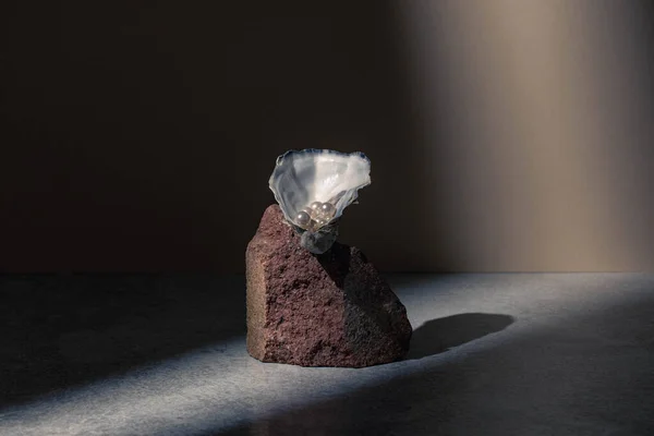 Μια Διάταξη Από Μια Θαλάσσια Πέτρα Ένα Κέλυφος Και Μαργαριτάρια — Φωτογραφία Αρχείου