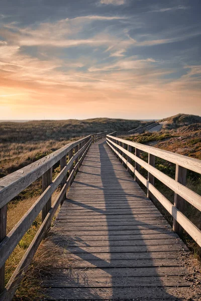 Vertical Shot Wooden Path Meadows Sunset Sky — Stock fotografie