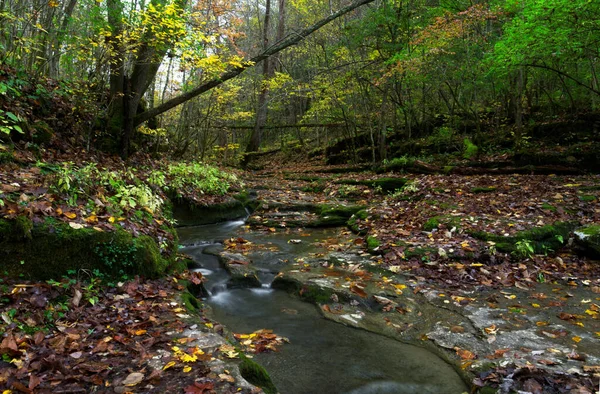 Ağaçlar Kayalar Düşen Yapraklarla Dolu Güzel Bir Sonbahar Manzarası — Stok fotoğraf
