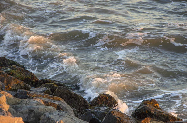 Closeup Rocky Shore Surrounded Sea Sunlight — 图库照片