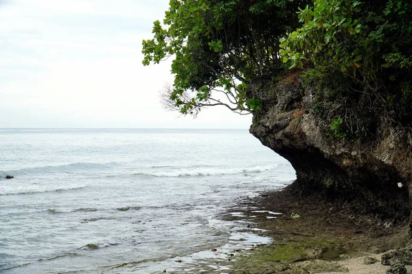 Mesmerizing View Rock Formation Dense Vegetation Sea Water Cloudy Sky — Fotografia de Stock