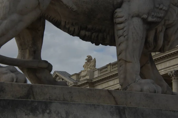 Hotel Marine Lion Statue Legs — Stock Photo, Image