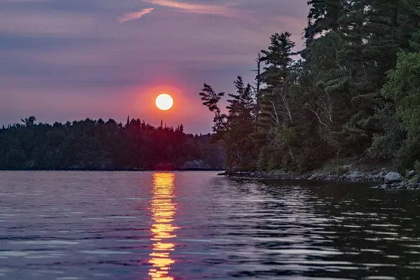 Beautiful View Lake Pine Trees Sunset Sky Background — стоковое фото