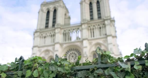 Paris France July 2019 Cathedral Notre Dame Coeur — Stockvideo