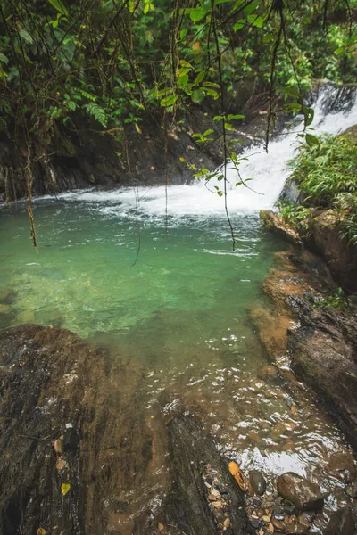 Piękny Widok Rzekę Środku Lasu Typowy Krajobraz Ameryki Łacińskiej Kolumbia — Zdjęcie stockowe