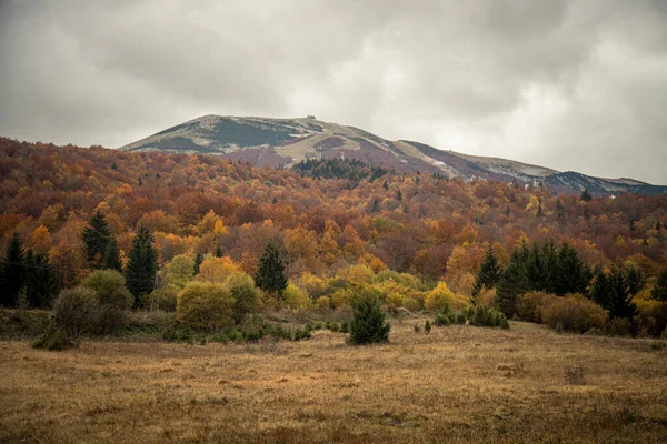 Mountains Covered Autumn Trees — Photo