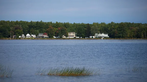 Beautiful View Buildings Seacoast Surrounded Trees — Photo