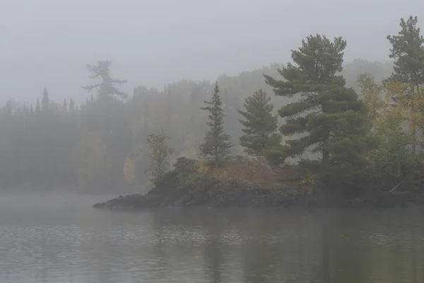 Beautiful View Lake Woods Foggy Day — Stock Fotó