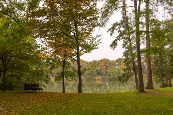 Sonbahar Parkında Gölün Etrafında Çam Ağaçları Olan Manzaralı Bir Manzara — Stok fotoğraf