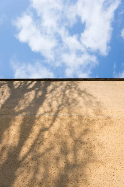 Vertical Shot Tree Shadow Concrete Wall Cloudy Sky — Fotografia de Stock