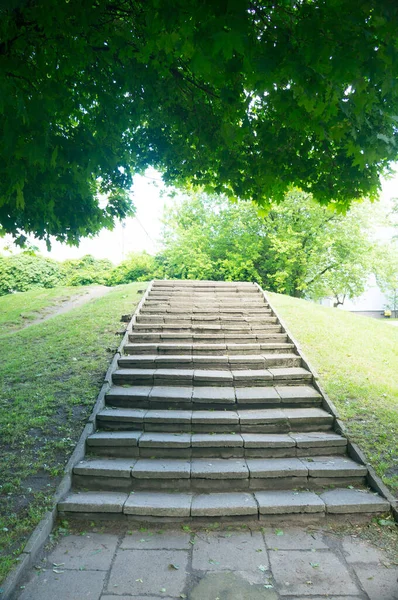 Вертикальный Кадр Каменной Лестницы Вдоль Зеленой Травы — стоковое фото