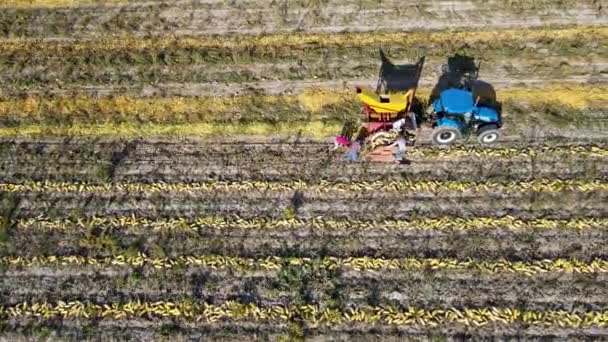 Vista Aérea Trator Campo — Vídeo de Stock