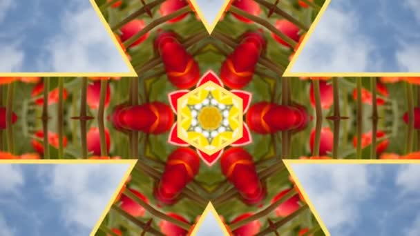 Creative Abstract Background Beautiful Kaleidoscope Pattern Colorful Fractal Artwork — Stock Video