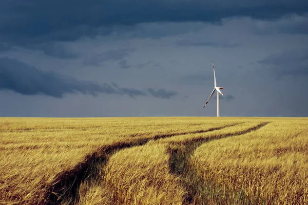 Ein Blick Die Landschaft Auf Den Windkraftpark Und Ein Maisfeld — Stockfoto