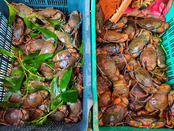 A top view of crabs in the food market