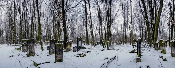 Warszawa Polska Lut 2016 Panoramiczne Ujęcie Cmentarzy Żydowskich Pokrytych Śniegiem — Zdjęcie stockowe