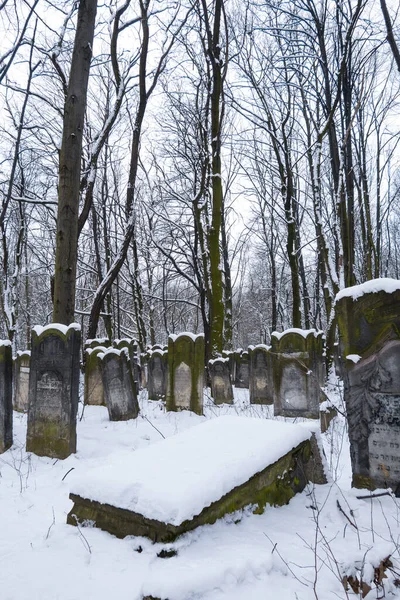 Warsaw Polonia Febrero 2016 Disparo Vertical Cementerios Judíos Cubiertos Nieve —  Fotos de Stock