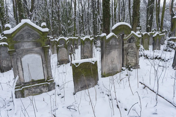 Warszawa Polska Lut 2016 Cmentarze Żydowskie Pokryte Śniegiem Zimny Poranek — Zdjęcie stockowe