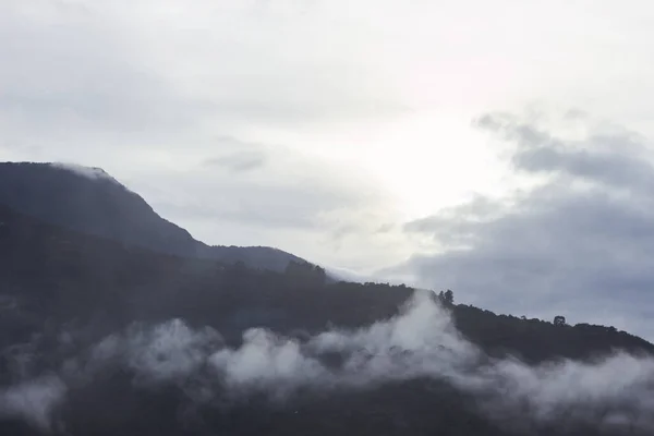 High Hills Dense Vegetation Cloudy Sky Sunrise — Stockfoto