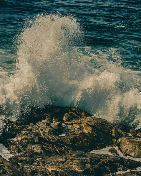 Vertical Shot Sea Wave — Stockfoto