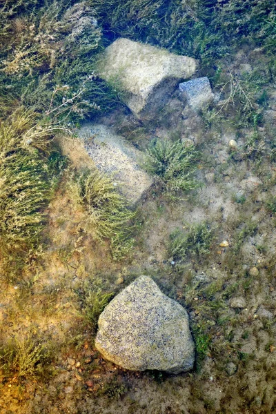 Vertical Shot Mossy Rocks Water —  Fotos de Stock