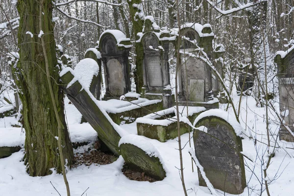 Warszawa Polska Lut 2016 Cmentarze Żydowskie Pokryte Śniegiem Chłodny Poranek — Zdjęcie stockowe
