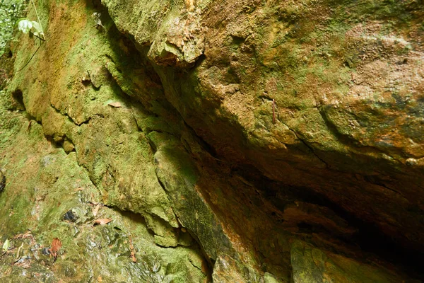 Closeup Shot Surface Mossy Piece Rock — стоковое фото