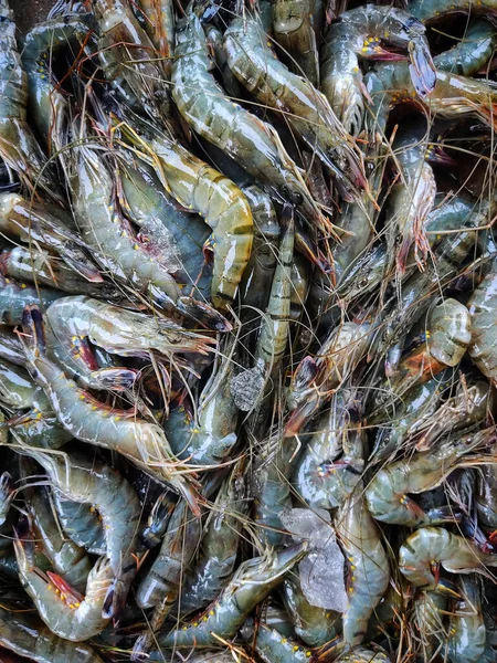 Top View Raw Shrimps Food Market — Photo