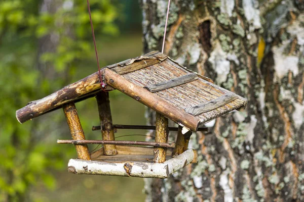 Een Close Van Een Houten Vogelnest Hangend Aan Een Boom — Stockfoto