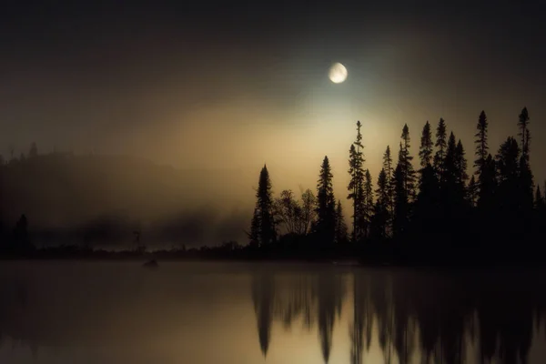 Mesmerizing View Moon Lake Trees Night — Foto de Stock