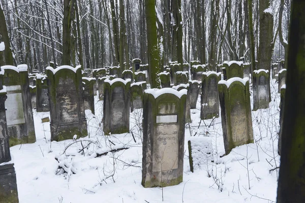 Warszawa Polska Lut 2016 Cmentarz Nagrobkami Żydowskimi Pokrytymi Śniegiem Chłodny — Zdjęcie stockowe