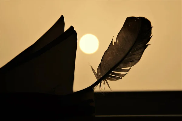Silhouette Feather Book Sunset Sky Background — 스톡 사진