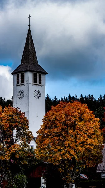 Vertical Shot Church Peter Zurich Switzerland — стокове фото