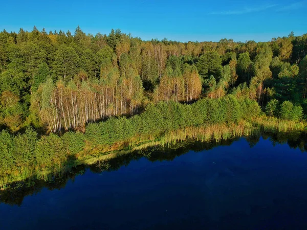 Прекрасний Вид Невелике Озеро Серед Зеленого Лісу Блакитним Фоном Неба — стокове фото
