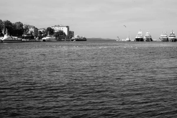 クロアチアの美しいダルマチア港の灰色のショットで 固定されたJadrolinija船 — ストック写真