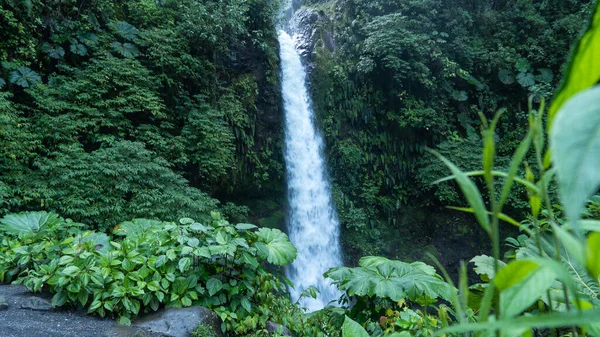 Beautiful Shot Waterfall Costa Rica — Stock Photo, Image
