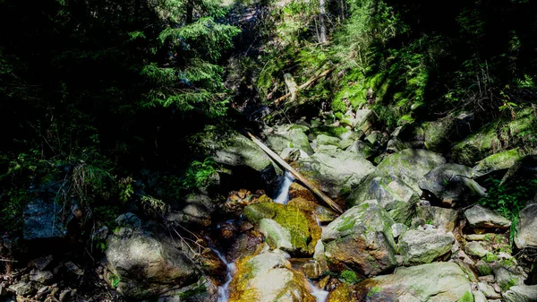 Primo Piano Piccolo Ruscello Fluviale Tra Rocce — Foto Stock