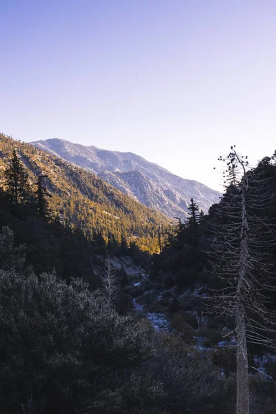Μια Κάθετη Λήψη Ενός Όμορφου Ορεινού Τοπίου Στο Baldy Καλιφόρνια — Φωτογραφία Αρχείου
