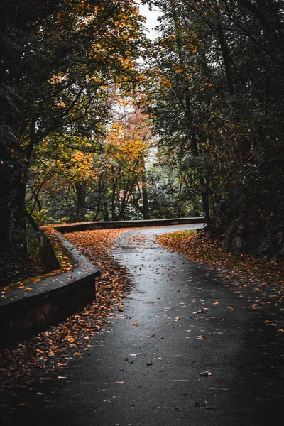 Winding Road Park Fall Colors Czech Republic — Fotografia de Stock