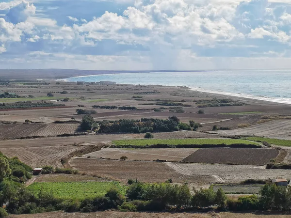 Uma Vista Uma Paisagem Beira Mar Com Vegetação Rara Chipre — Fotografia de Stock