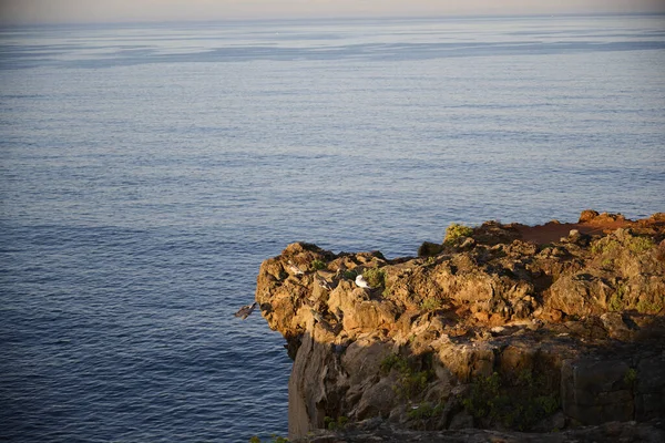 Amazing View Rocks Cascais Portugal — Photo