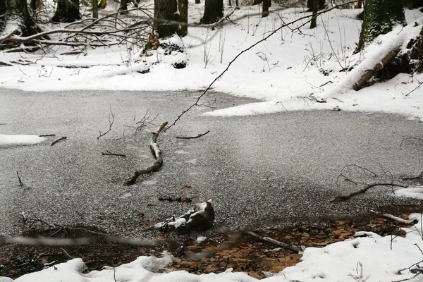 Ein Zugefrorener See Oder Fluss Mit Weißem Schnee Wald Winter — Stockfoto