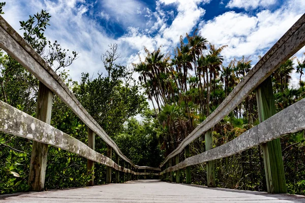 Beautiful Shot Everglades National Park Florida Usa — Stockfoto