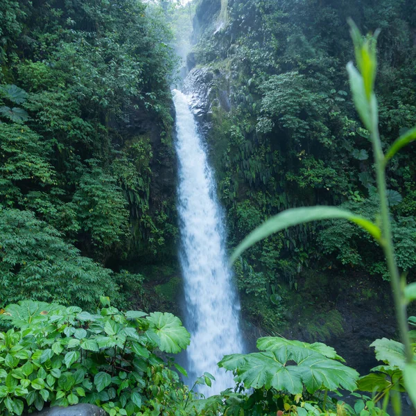 Uma Bela Foto Quadrada Uma Cachoeira Costa Rica — Fotografia de Stock