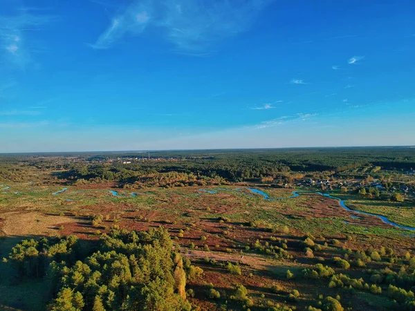 Een Prachtig Uitzicht Groen Bos Onder Zon Met Een Blauwe — Stockfoto
